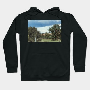 Beautiful landscape Hoodie